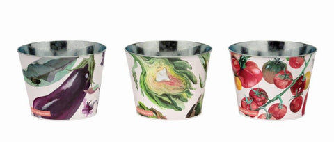 Set 3 Veggie Plant Pots