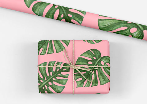 Pink Cheese Plant Gift Wrap